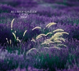 Blumen, Gräser, Licht 2004 - 