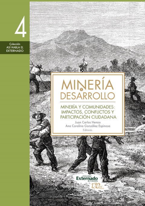 Miner&iacute;a y desarrollo. Tomo 4 - &Oacute;scar A. Alfonso