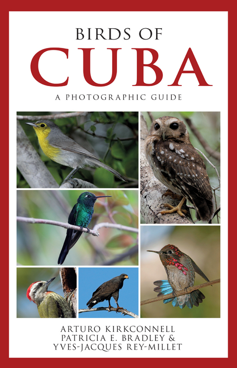 Birds of Cuba - Arturo Kirkconnell, Patricia E. Bradley, Yves-Jacques Rey-Millet