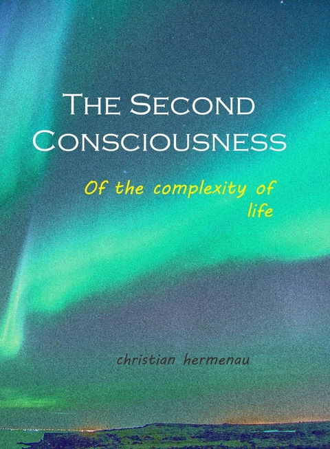 The Second Consciousness - Christian Hermenau