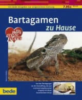 Bartagamen zu Hause - Werner Prei&szlig;er