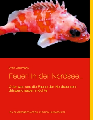 Feuer! In der Nordsee...