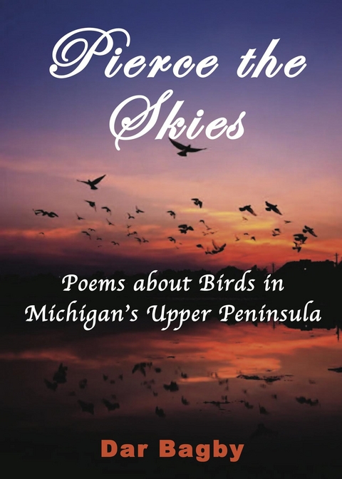 Pierce the Skies - Dar Bagby