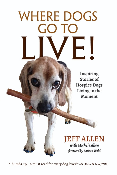Where Dogs Go To LIVE! - Jeff Allen