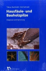 Hausf&auml;ule- und Bauholzpilze - Tobias Huckfeldt, Olaf Schmidt