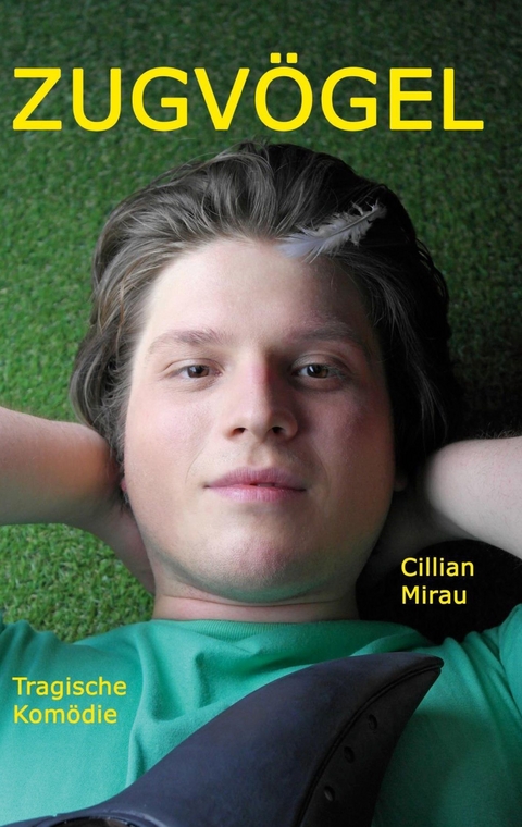 Zugv&ouml;gel - Cillian Mirau