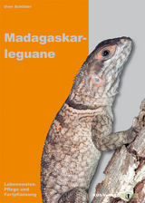Madagaskarleguane - Uwe Schl&uuml;ter