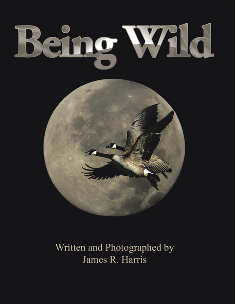 Being Wild - James R. Harris