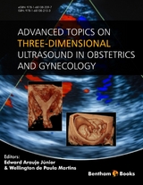 Advanced Topics on Three-Dimensional Ultrasound in Obstetrics and Gynecology - 