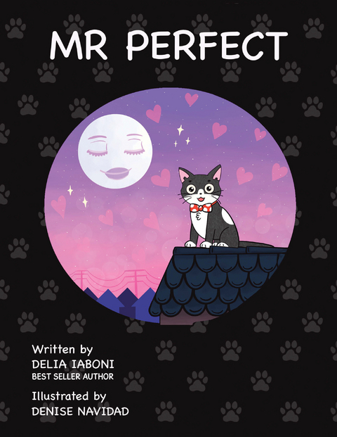Mr. Perfect - Delia Iaboni