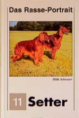 Setter Portrait - Hilde Schwoyer