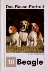 Beagle-Portrait - Jochen H Eberhardt