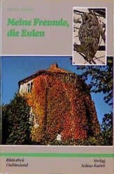 Meine Freunde, die Eulen - Werner Ricono