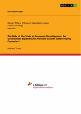 The Role of the State in Economic Development. Do Government Expenditures Promote Growth in Developing Countries? - David Schmengler