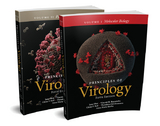 Principles of Virology - Jane Flint, Vincent R. Racaniello, Glenn F. Rall, Theodora Hatziioannou, Anna Marie Skalka