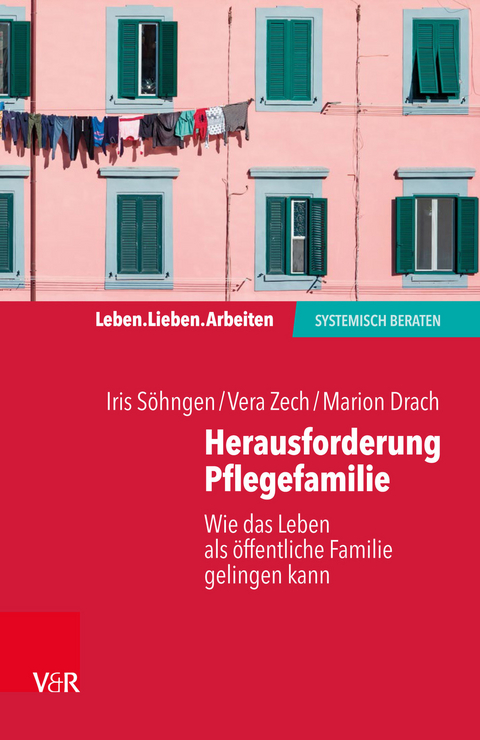 Herausforderung Pflegefamilie -  Iris S&ouml;hngen,  Vera Zech,  Marion Drach