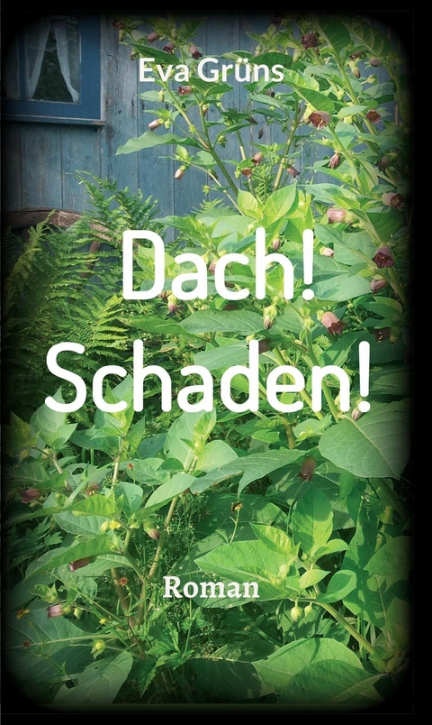 Dach! Schaden! -  Eva Gr&uuml;ns