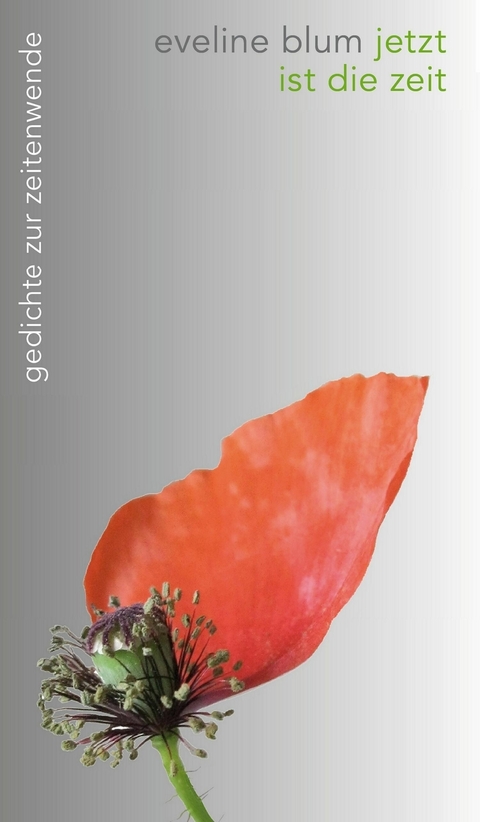jetzt ist die zeit -  Eveline Blum