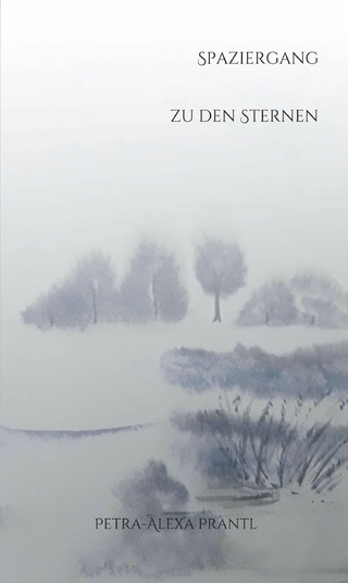 Spaziergang zu den Sternen