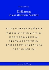 Einf&uuml;hrung in das klassische Sanskrit - Eberhard Guhe
