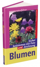Blumen - Wolfgang Hensel