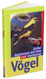 V&ouml;gel - Eckart Pott