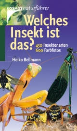 Welches Insekt ist das? - Heiko Bellmann