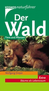 Der Wald - Wolfgang Dreyer