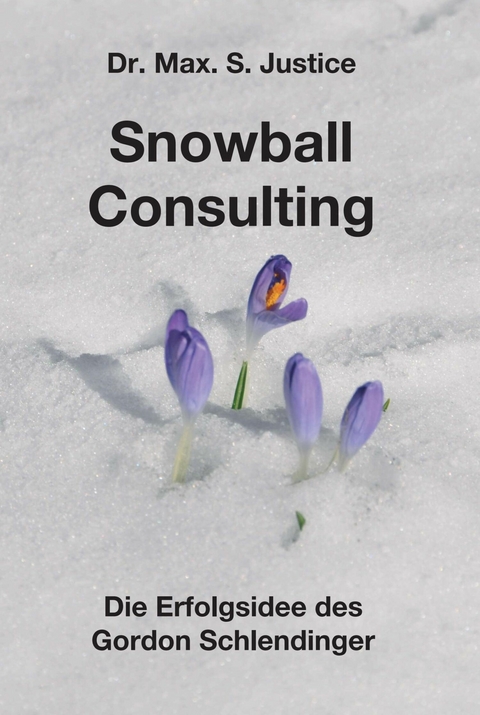 Snowball Consulting -  Dr. Max. S. Justice