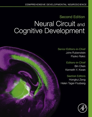 Neural Circuit and Cognitive Development