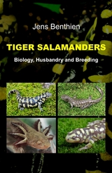 Tiger Salamanders -  Jens Benthien