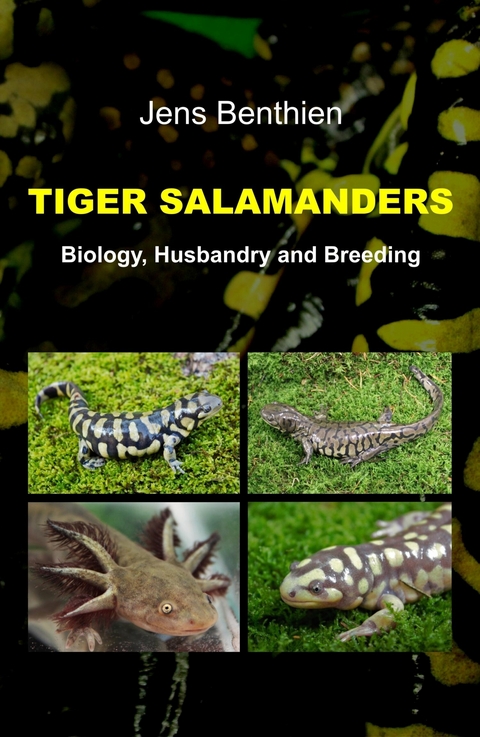 Tiger Salamanders -  Jens Benthien