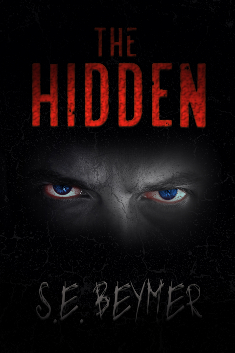 Hidden -  S.E. Beymer