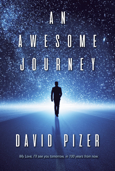 Awesome Journey -  David Pizer