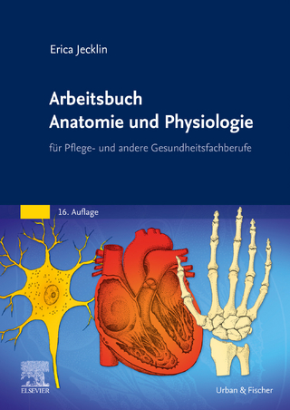Arbeitsbuch Anatomie und Physiologie eBook