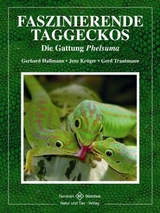 Faszinierende Taggeckos - Gerhard Hallmann, Jens Kr&uuml;ger, Gerd Trautmann