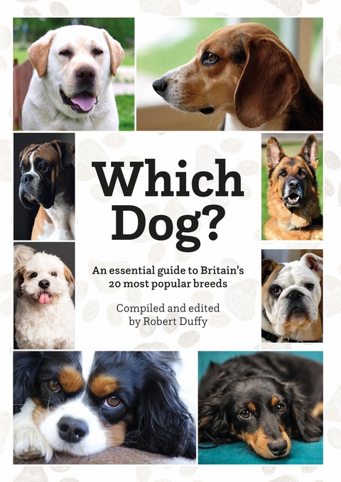 Which Dog - 