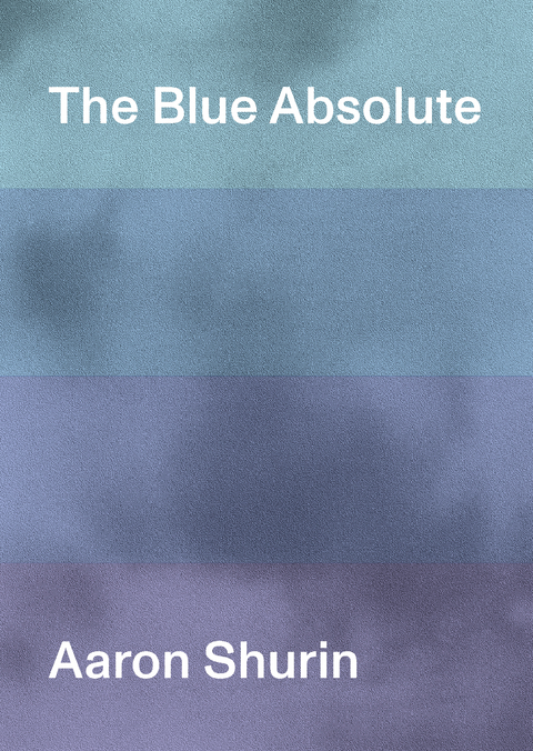 The Blue Absolute - Aaron Shurin