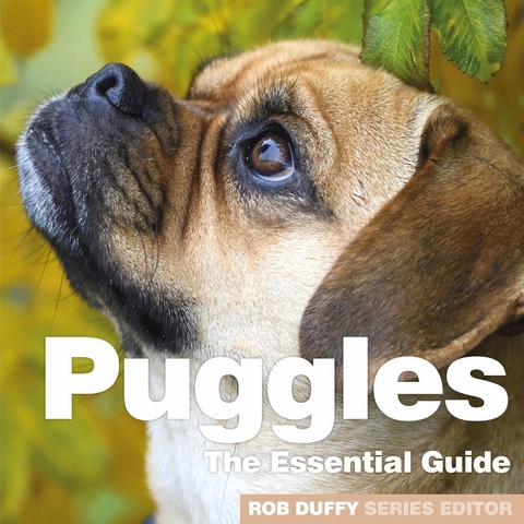 Puggles - 