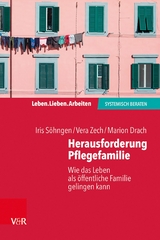Herausforderung Pflegefamilie -  Iris S&ouml;hngen,  Vera Zech,  Marion Drach