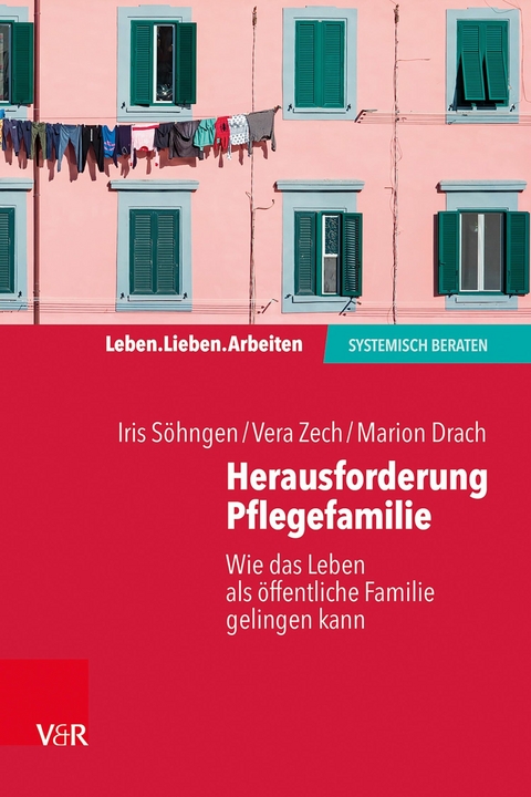 Herausforderung Pflegefamilie -  Iris S&ouml;hngen,  Vera Zech,  Marion Drach
