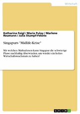 Singapurs "Midlife-Krise" - Katharina Feigl, Maria Pulay, Marlene Reumann, Julia Stumpf-Fekete
