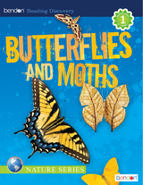 Butterflies and Moths -  Kathryn Knight