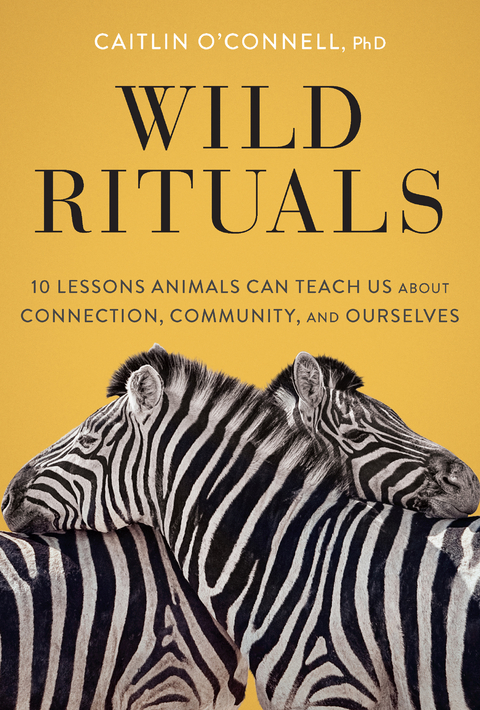 Wild Rituals -  Caitlin O'Connell