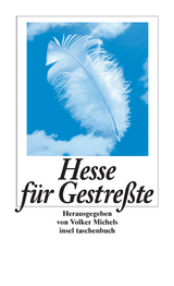 Hesse f&uuml;r Gestre&szlig;te - Hermann Hesse