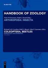 Morphology and Systematics (Elateroidea, Bostrichiformia, Cucujiformia partim) - 