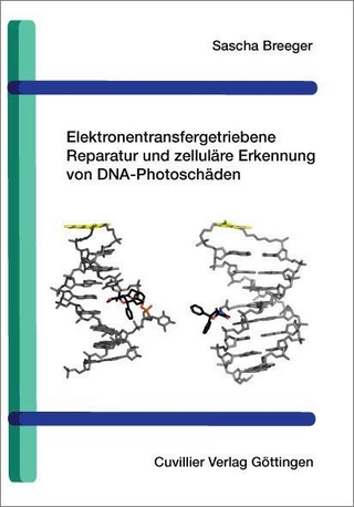 Elektronentransfergetriebene Reparatur und zelluläre Erkennung von DNA-Photoschäden