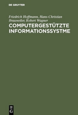 Computergestützte Informationssystme - Friedrich Hoffmann, Hans-Christian Brauweiler, Robert Wagner