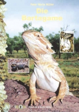 Die Bartagame - Peter M M&uuml;ller