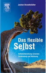 Das flexible Selbst - Jochen Brandtst&auml;dter